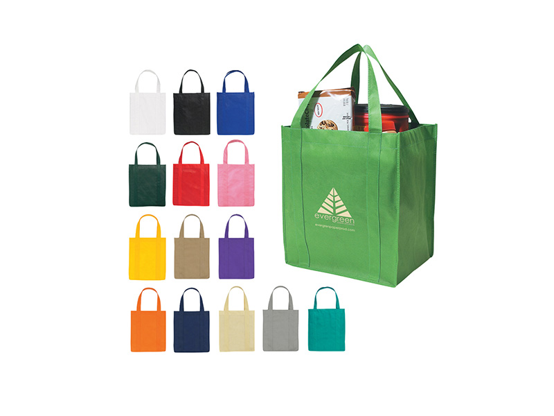 Non Woven Shopping Bag